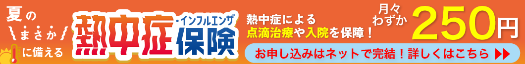 ニッセイプラス少短 熱中症保険