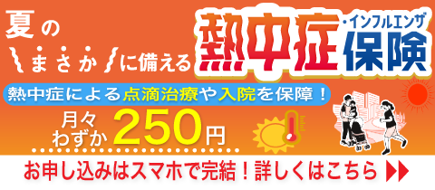 ニッセイプラス少短 熱中症保険