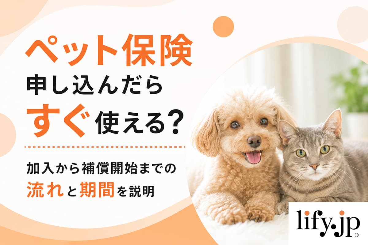 ペット保険、申し込んだらすぐ使える？加入から補償開始までの流れと期間を説明