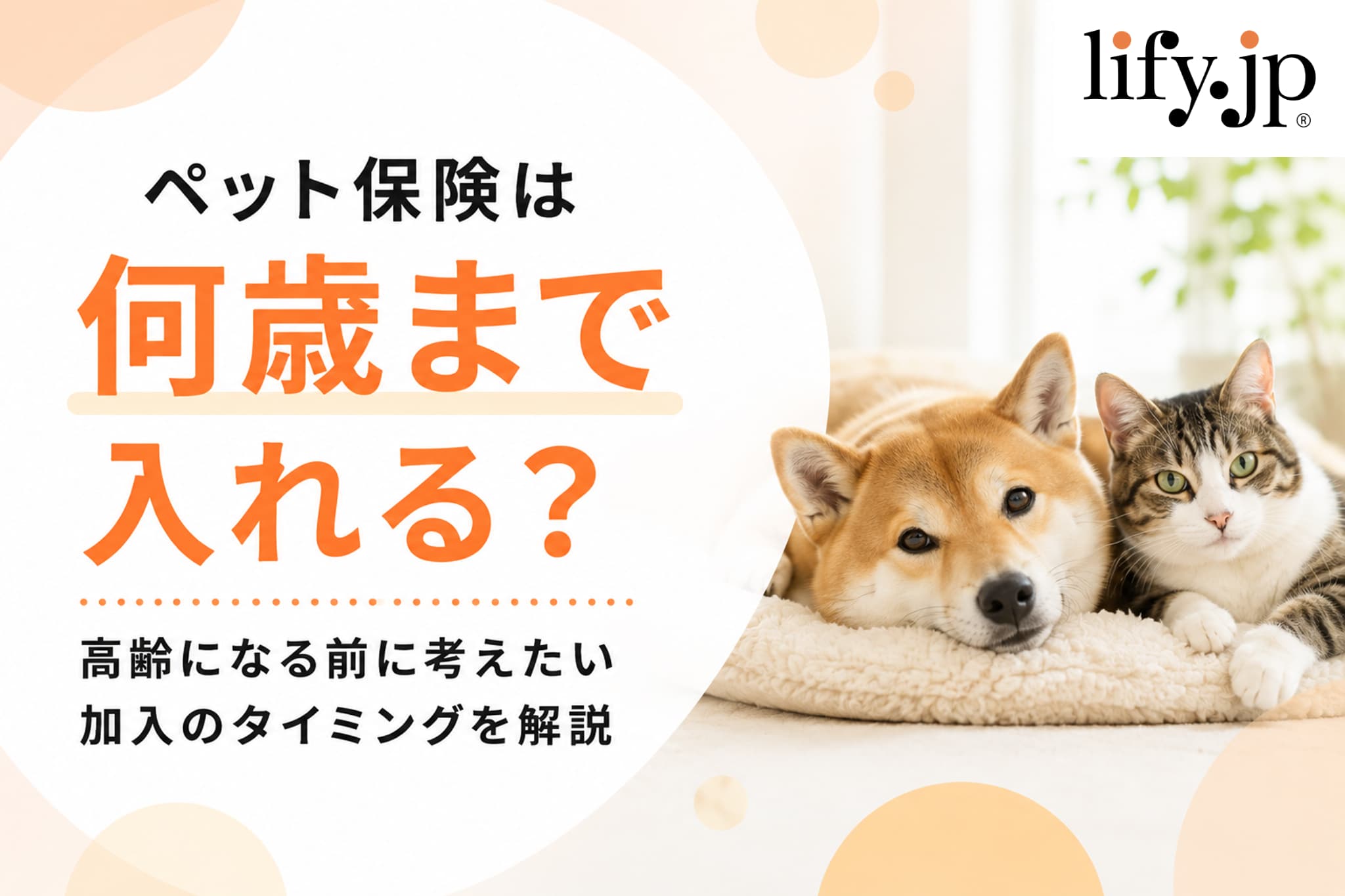 ペット保険は何歳まで入れる？高齢になる前に考えたい、加入のタイミングを解説