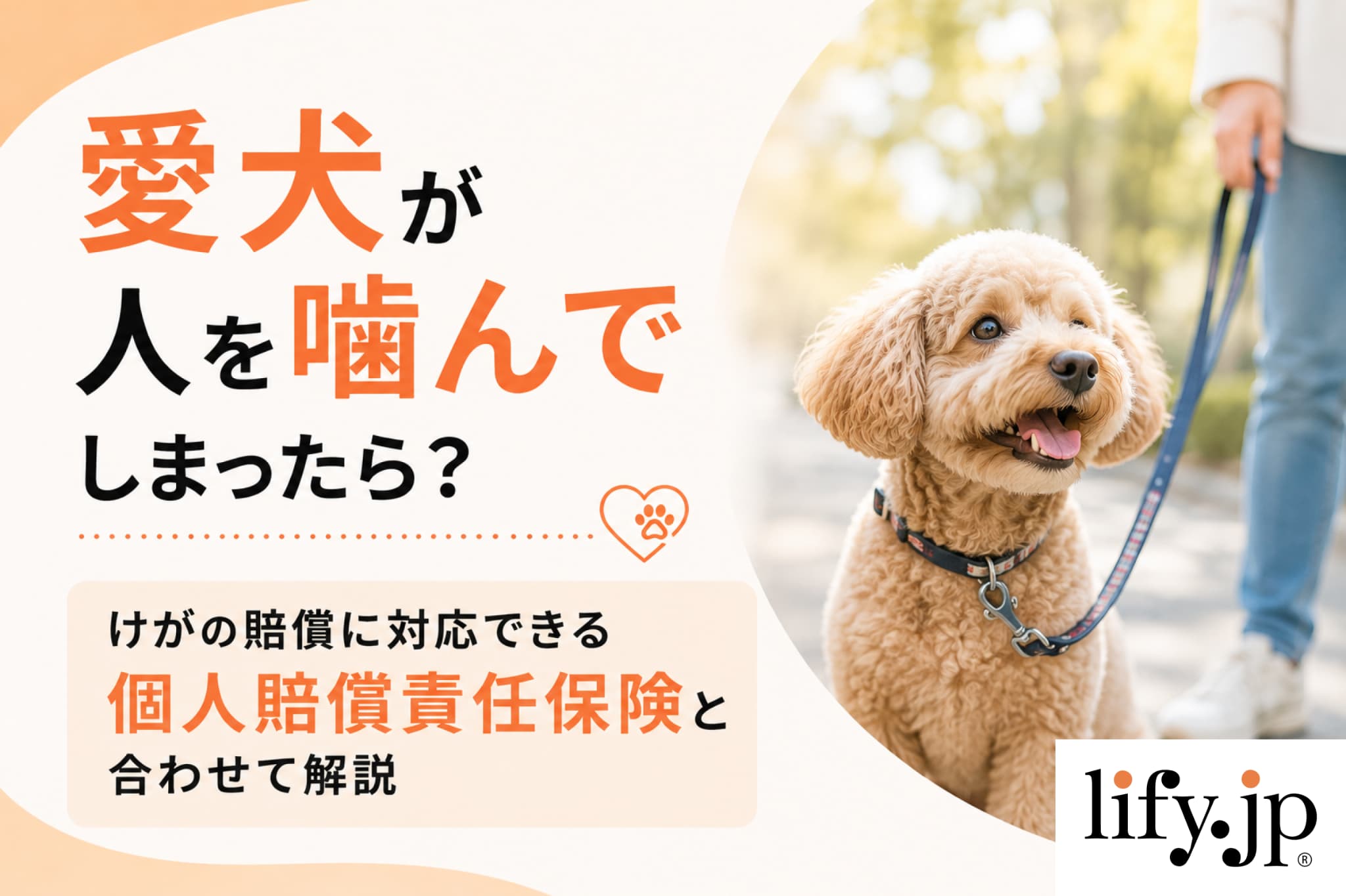 愛犬が人を噛んでしまったら？けがの賠償に対応できる個人賠償責任保険と合わせて解説