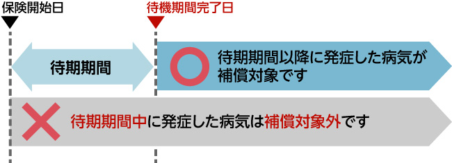 ペット保険の待機期間と補償対象