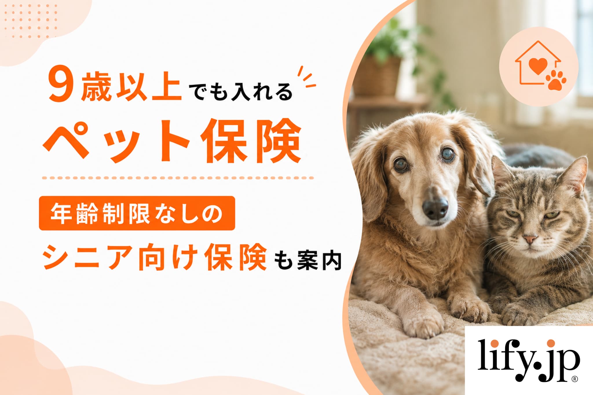 9歳以上でも入れるペット保険、年齢制限なしのシニア向け保険も案内