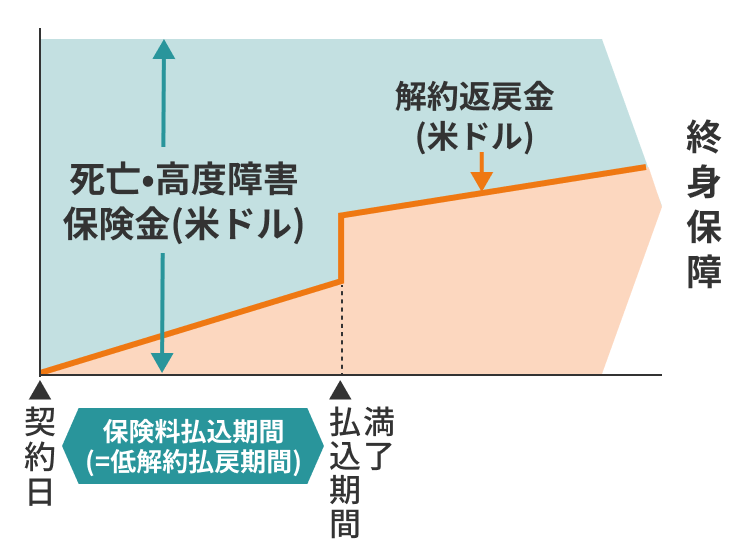 あとでいれる
