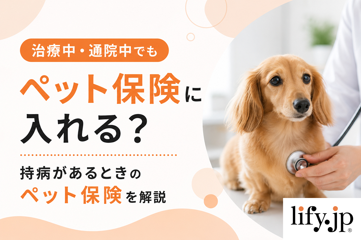 治療中・通院中でもペット保険に入れる？持病があるときのペット保険を解説